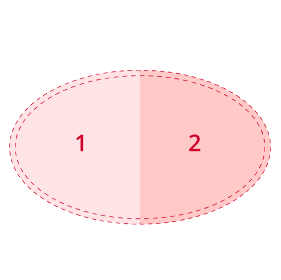 Half/Half Pizza